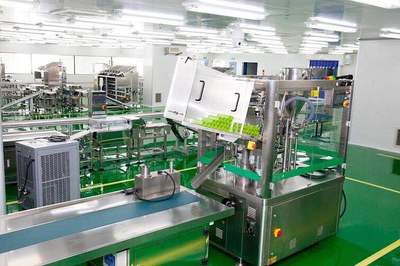 上海化妝品代加工廠的專業(yè)技術(shù)服務(wù) 從概念到成品的全方位支持